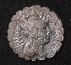 Roman Denarius Silver Coin with Gladiator Fighting Lion on Reverse!