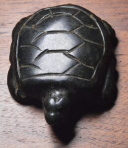 Rare Meteorite Turtle (REAL)